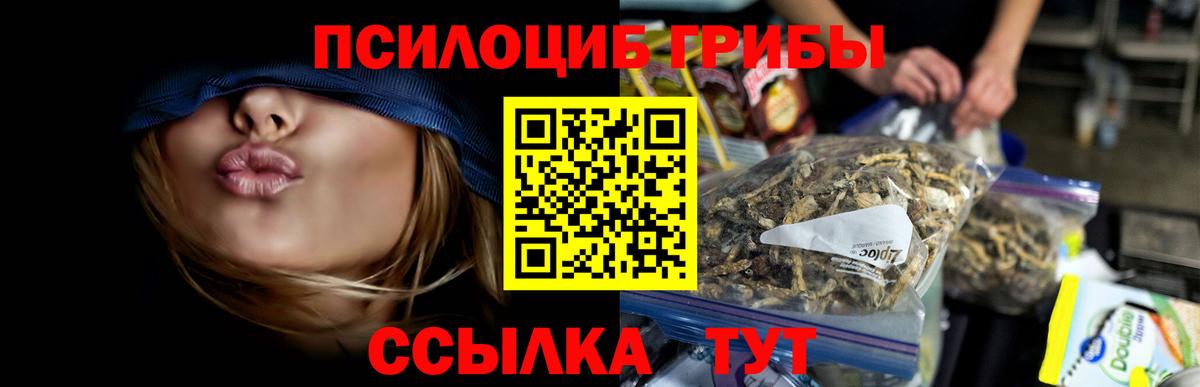 Псилоцибиновые грибы Cubensis  Вход с VPN  Краснодар  Галлюциногенные грибы Cubensis 